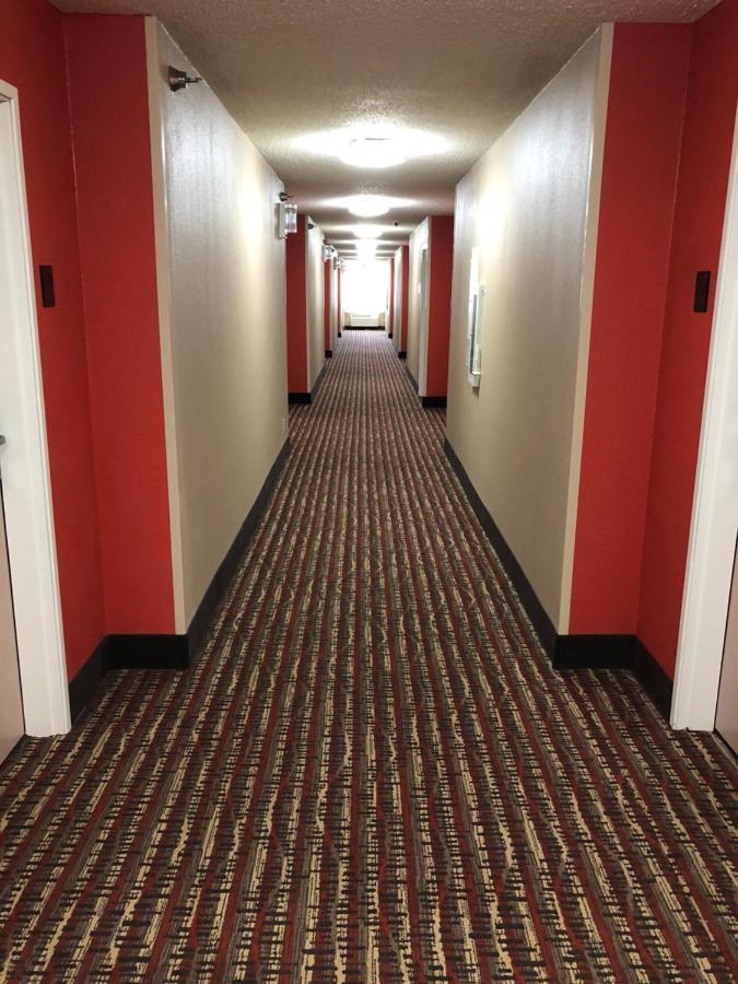 Comfort Inn Wichita Falls Near University Bagian luar foto